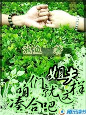 姐夫,咱們就這樣湊合吧